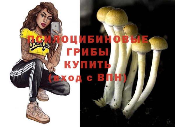 крисы Алексеевка