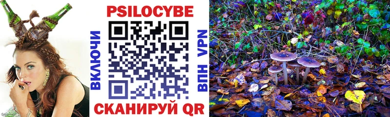 МЕГА   Гдов  Галлюциногенные грибы Cubensis 