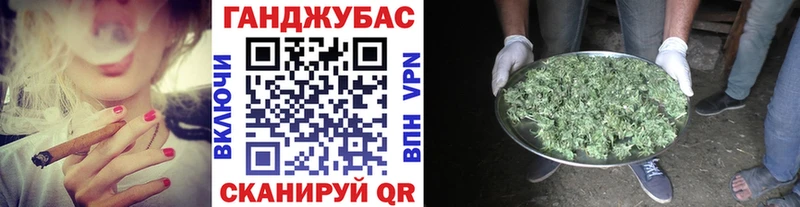 Бошки Шишки Amnesia  Гдов 
